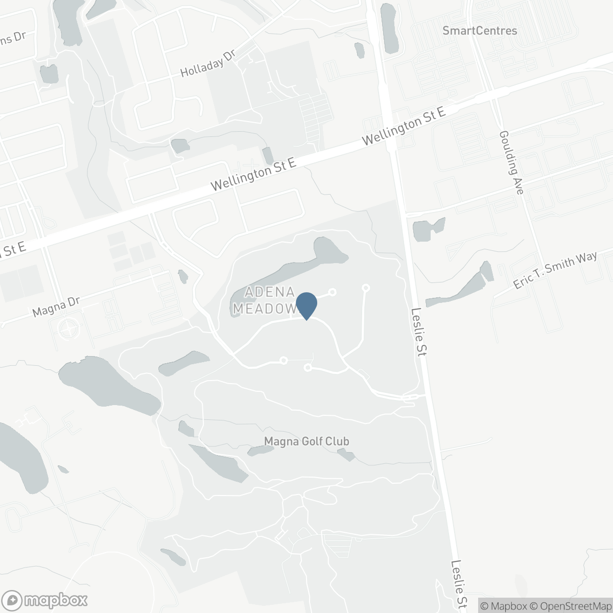 45 ADENA MEADOWS WAY, Aurora, Ontario L4G 7Y6